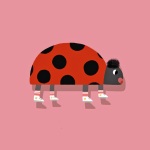 ladybug